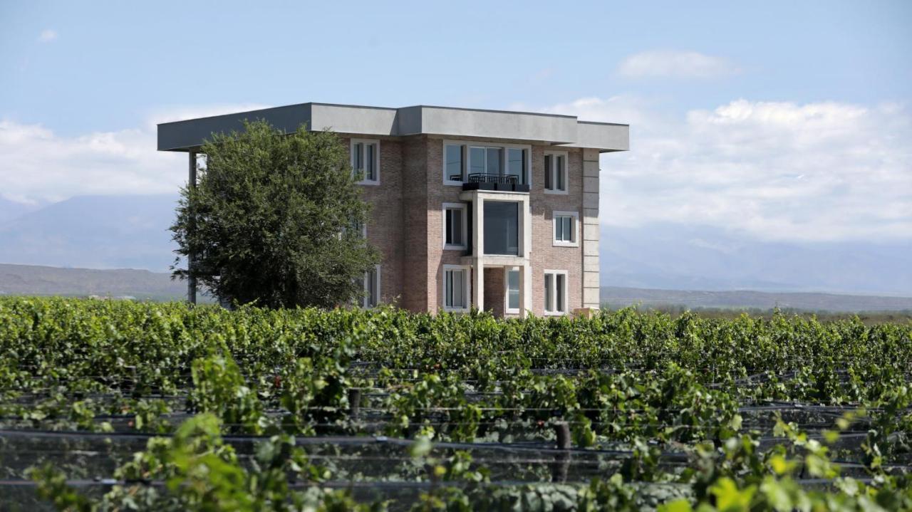 Gaia Lodge Tupungato Eksteriør billede