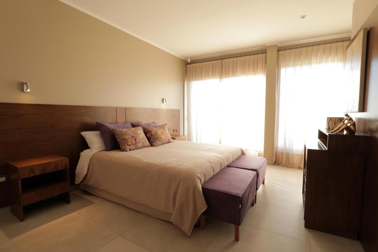 Gaia Lodge Tupungato Eksteriør billede